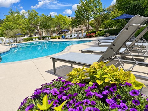 A pool surrounded by chairs and flowers.