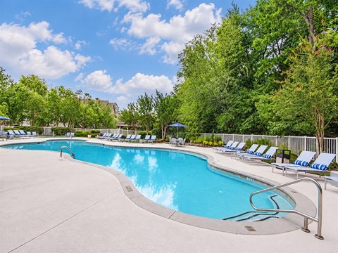 A large outdoor swimming pool surrounded by trees and lounge chairs.