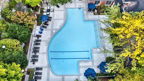 A large blue swimming pool surrounded by trees and lounge chairs.