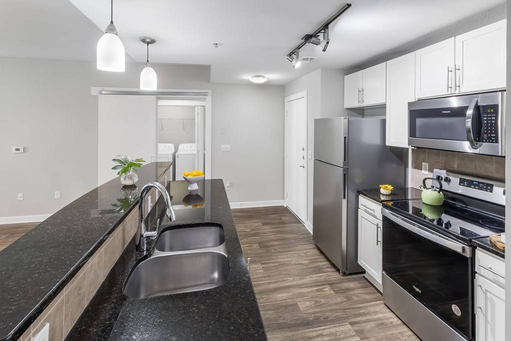 A modern kitchen with stainless steel appliances and a black countertop.