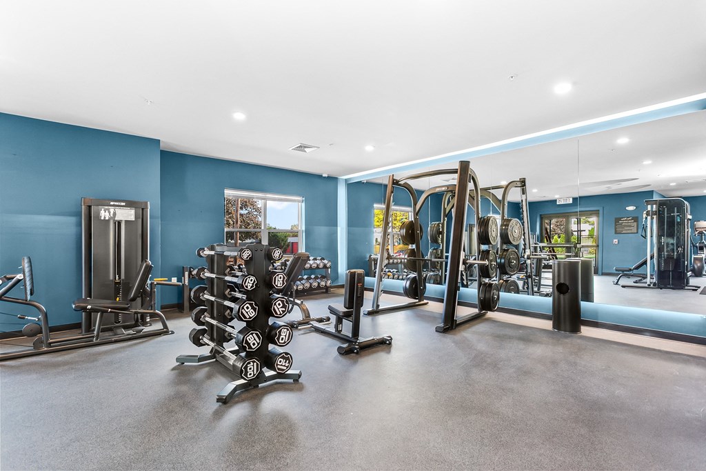 A gym with a variety of equipment including a leg press machine.