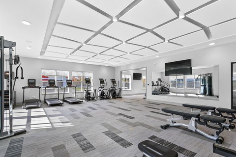 A spacious gym with a variety of equipment.