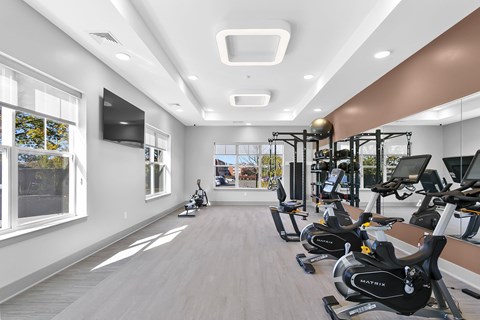 A gym with exercise bikes and a flat screen TV.