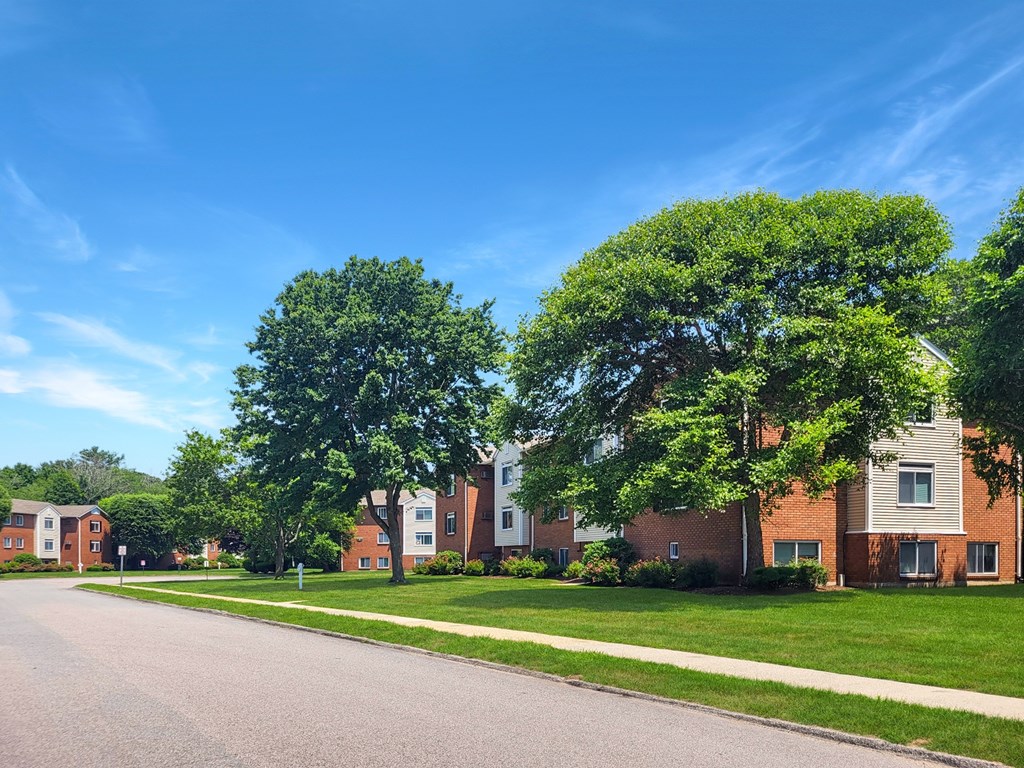 A row of houses with green trees in front.