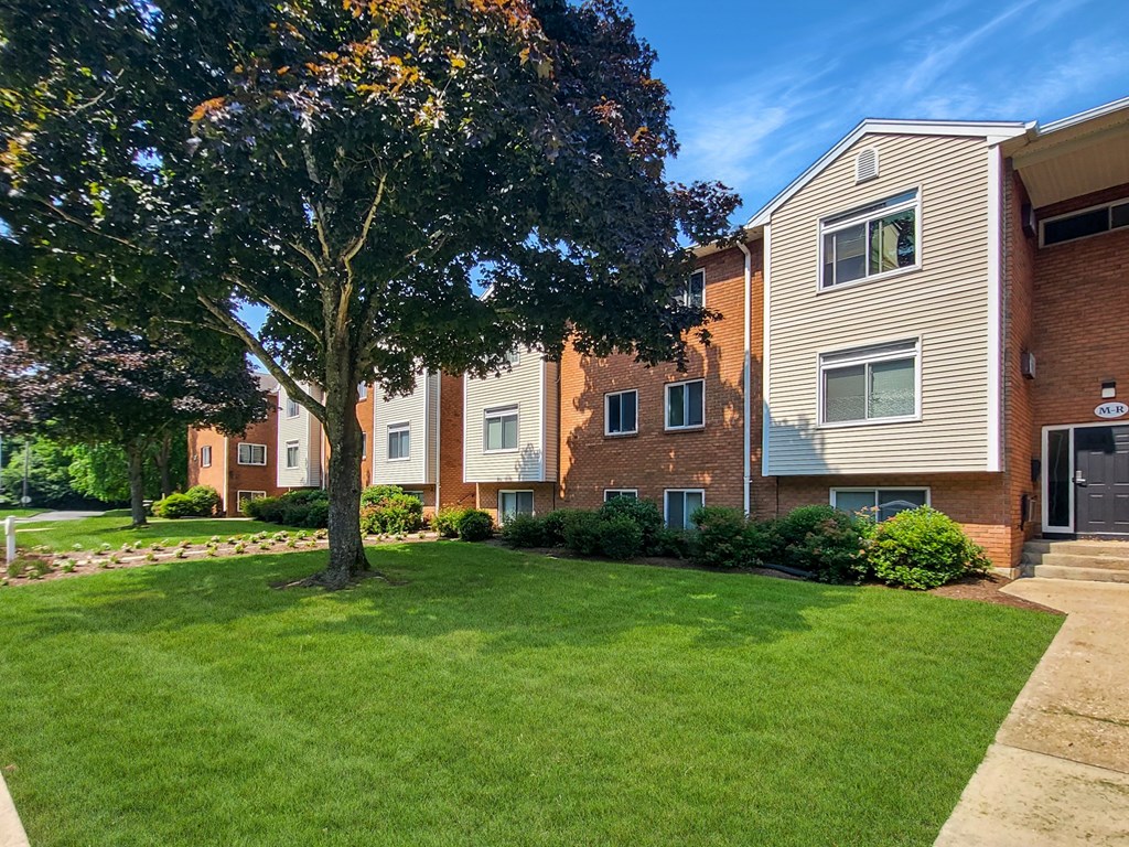 A tree with green leaves stands in a grassy area in front of a building.