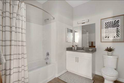 A white bathroom with a shower curtain and a white toilet.