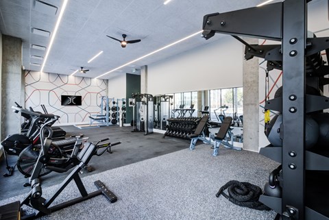 A gym with a variety of equipment including weights and treadmills.