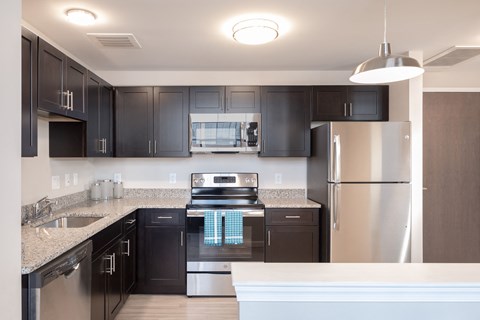 A modern kitchen with black cabinets and stainless steel appliances.