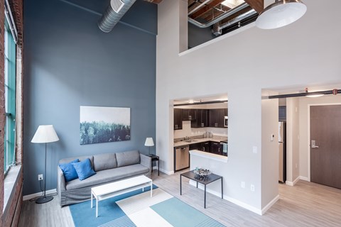 A living room with a grey couch and a blue rug.