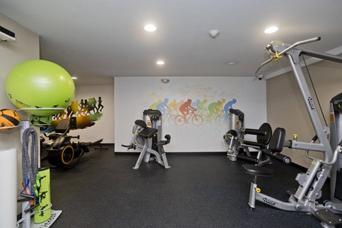 a gym with exercise equipment and a mural on the wall at Park Edge, Springfield, 13502