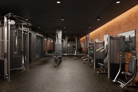 A gym with a variety of equipment including a squat rack, bench press, and a rowing machine.