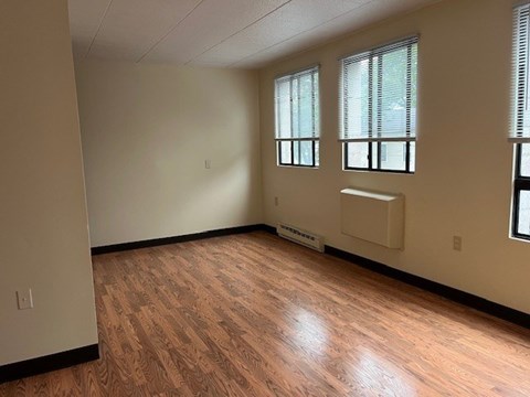 A room with wooden flooring and two windows.