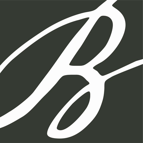 A white letter B on a green background.