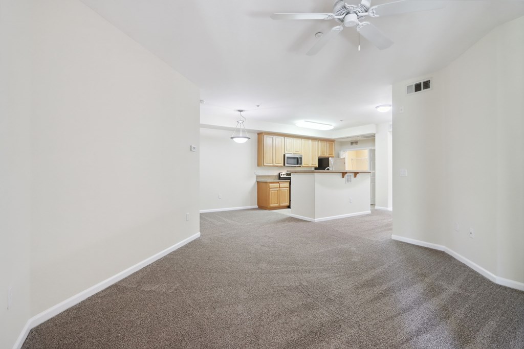 Living room area / kitchen area