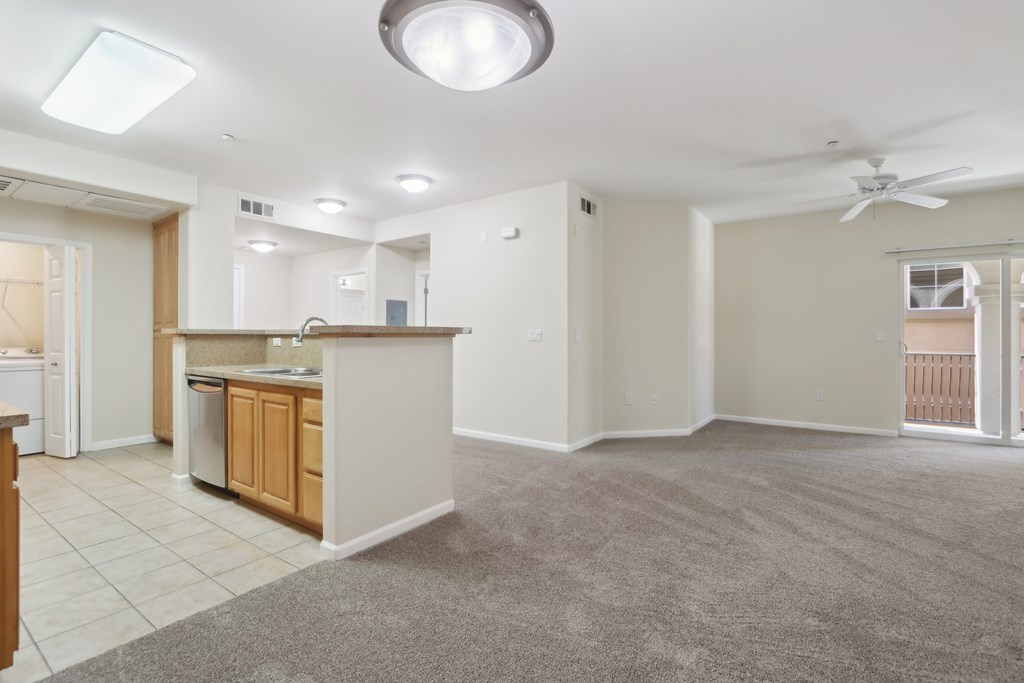 Kitchen / Living room area