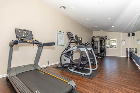A gym with treadmills, elliptical machines, and other exercise equipment.