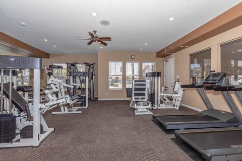 A well-equipped gym with treadmills, weights, and cardio machines.