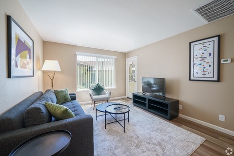 A living room with a grey couch, a black coffee table, and a flat screen TV.