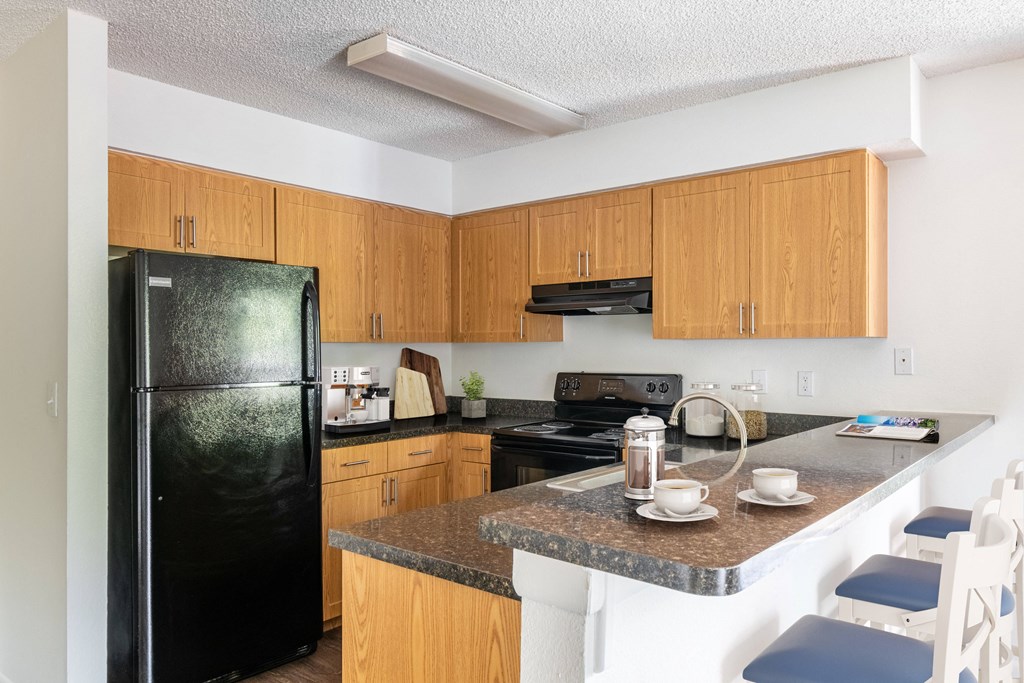 Timber Chase At Sarasota Bay