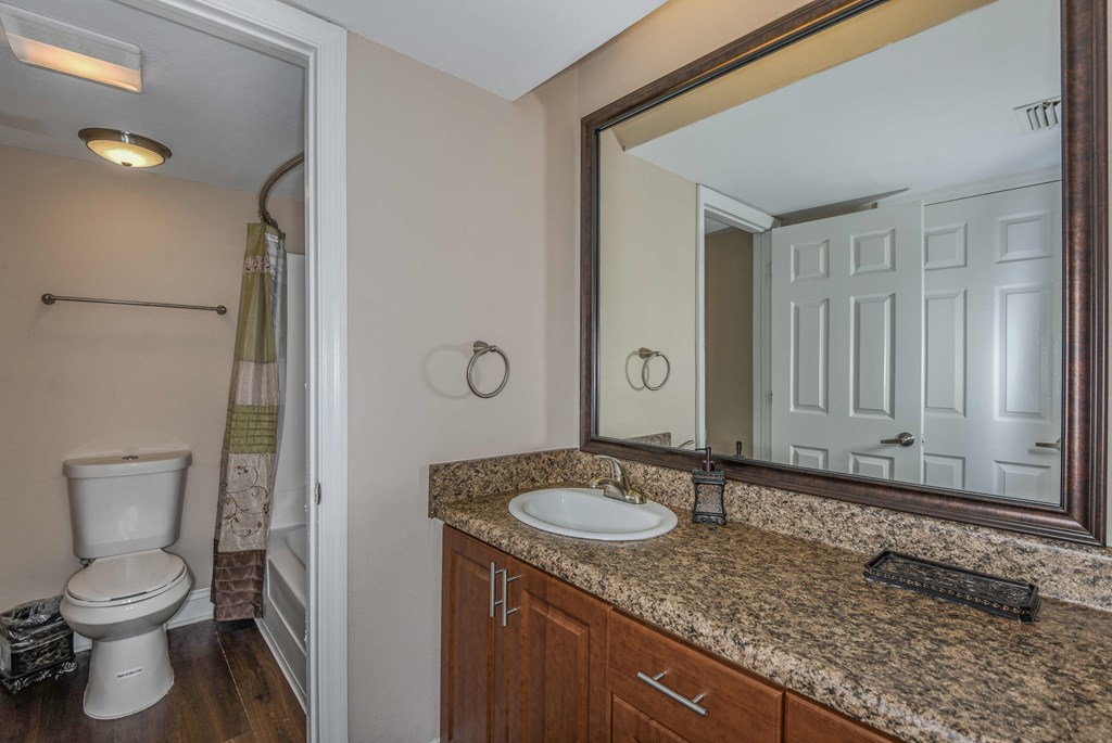 Bloomingdale Woods Apartments Valrico Florida Model Apartment Bathroom with Sink, Toilet, and Shower/Bath Combo