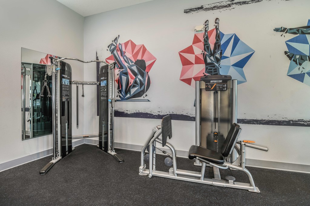 Bloomingdale Woods Apartments Valrico Florida Fitness Center Leg Press and Pull Down Machines