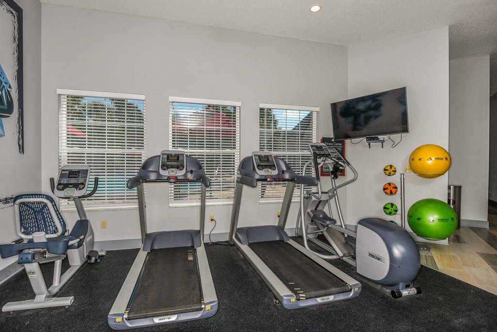 Bloomingdale Woods Apartments Valrico Florida Fitness Center Treadmills, Bike, Elliptical, and Medicine Balls with TV