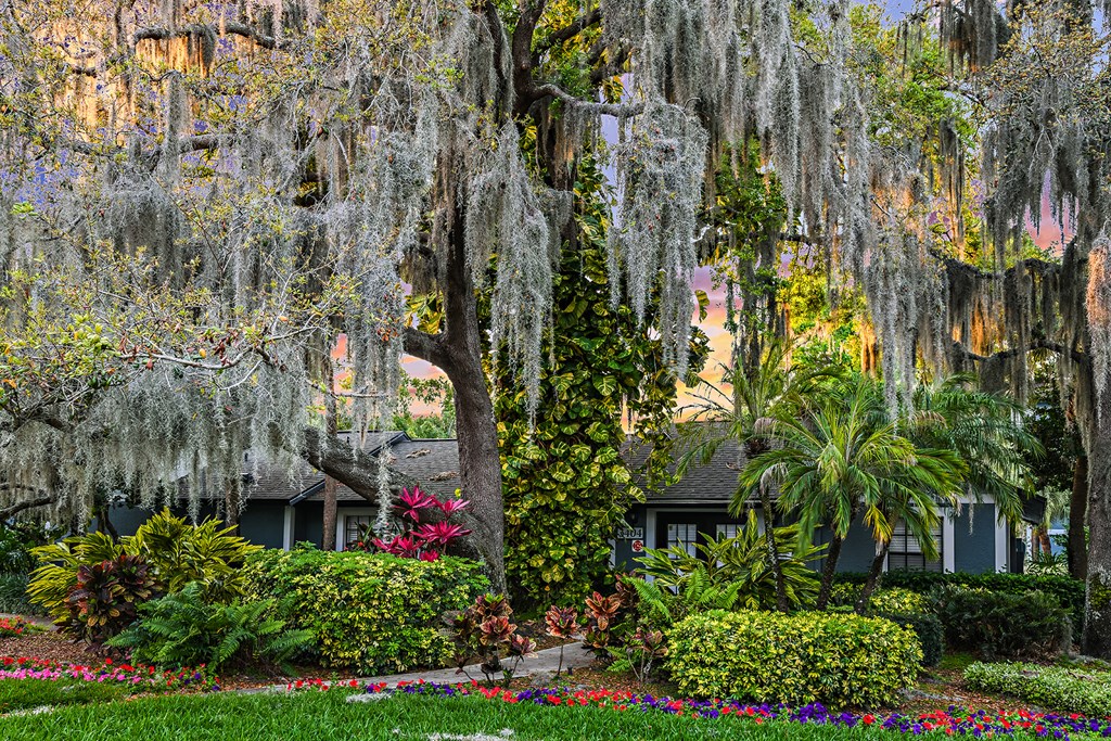 View of Brookside Manor Clubhouse landscaping with hanging plants and flowers, with a sunset in background