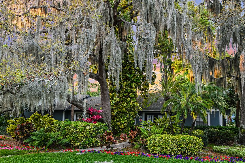 View of Brookside Manor Clubhouse landscaping with hanging plants and flowers, with a sunset in background