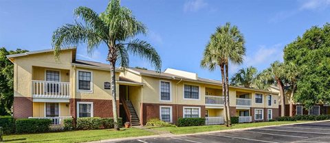 Photos and Video of Park Avenue Apartments in Tampa, FL