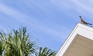 Hunters Glen Apartments 2562 10th Street Sarasota Fl Rentcafe