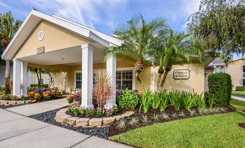 the front of a house with palm trees and a sidewalk