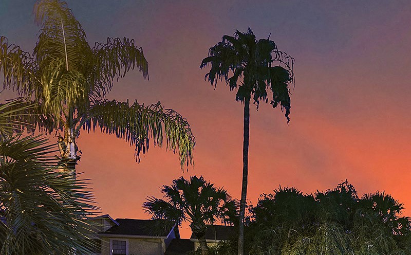 Park Avenue Apartments | Apartments in Tampa, FL