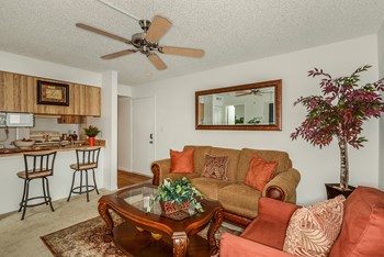 Park Avenue Apartments Tampa Florida Living Room Open Concept with View of Kitchen Bar and Stools - Photo Gallery 15