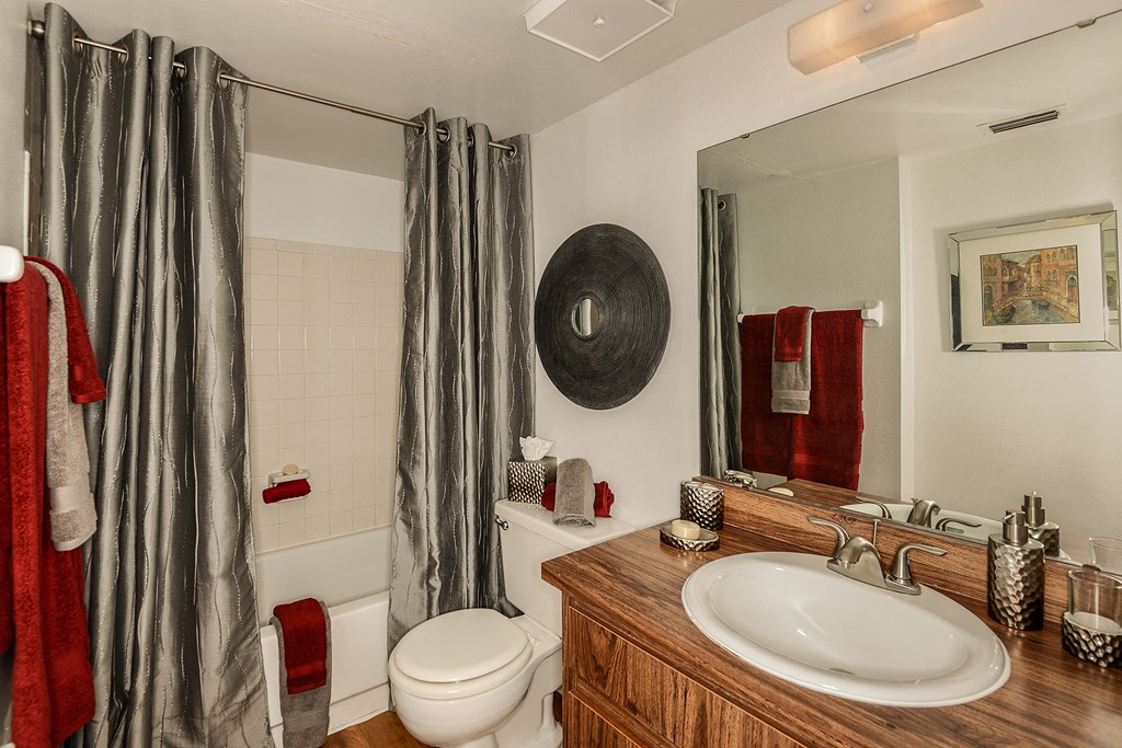 Park Avenue Apartments Tampa Florida Model Bathroom