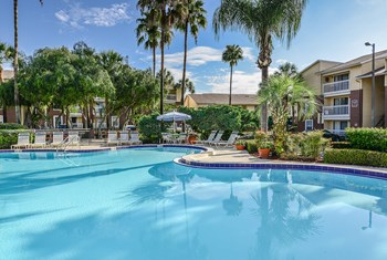 Park Avenue Apartments Tampa Florida Sunny Pool Day view towards BBQ Area - Photo Gallery 7