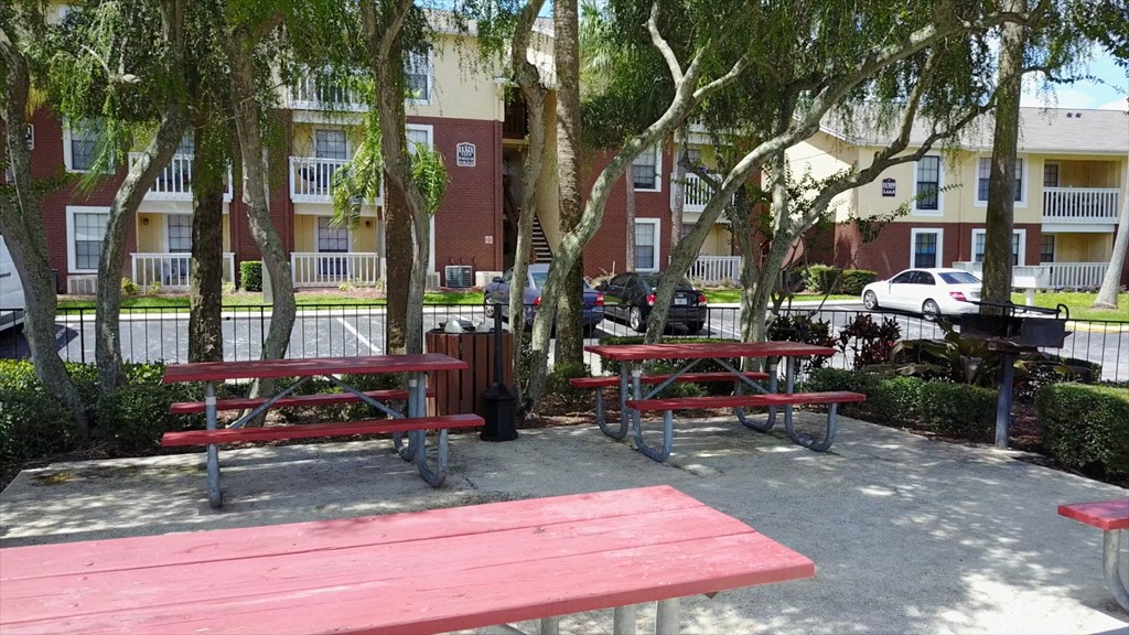 Park Avenue Apartments Tampa Florida BBQ and Picnic Area
