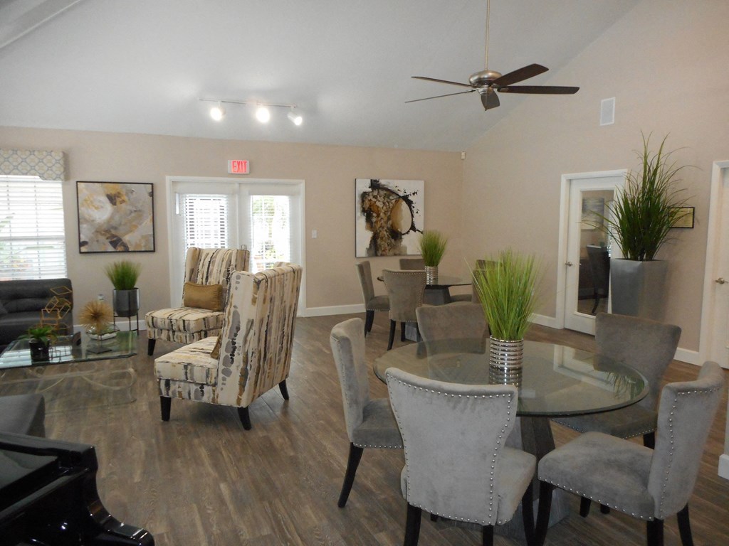 Timber Chase At Sarasota Bay