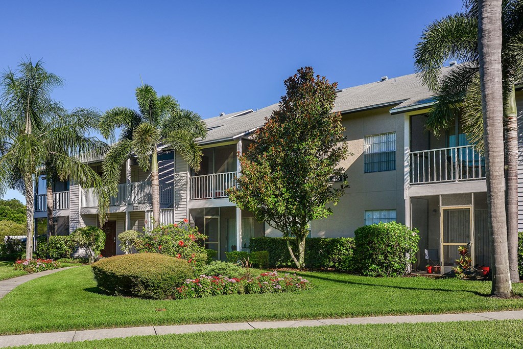 Timber Chase At Sarasota Bay