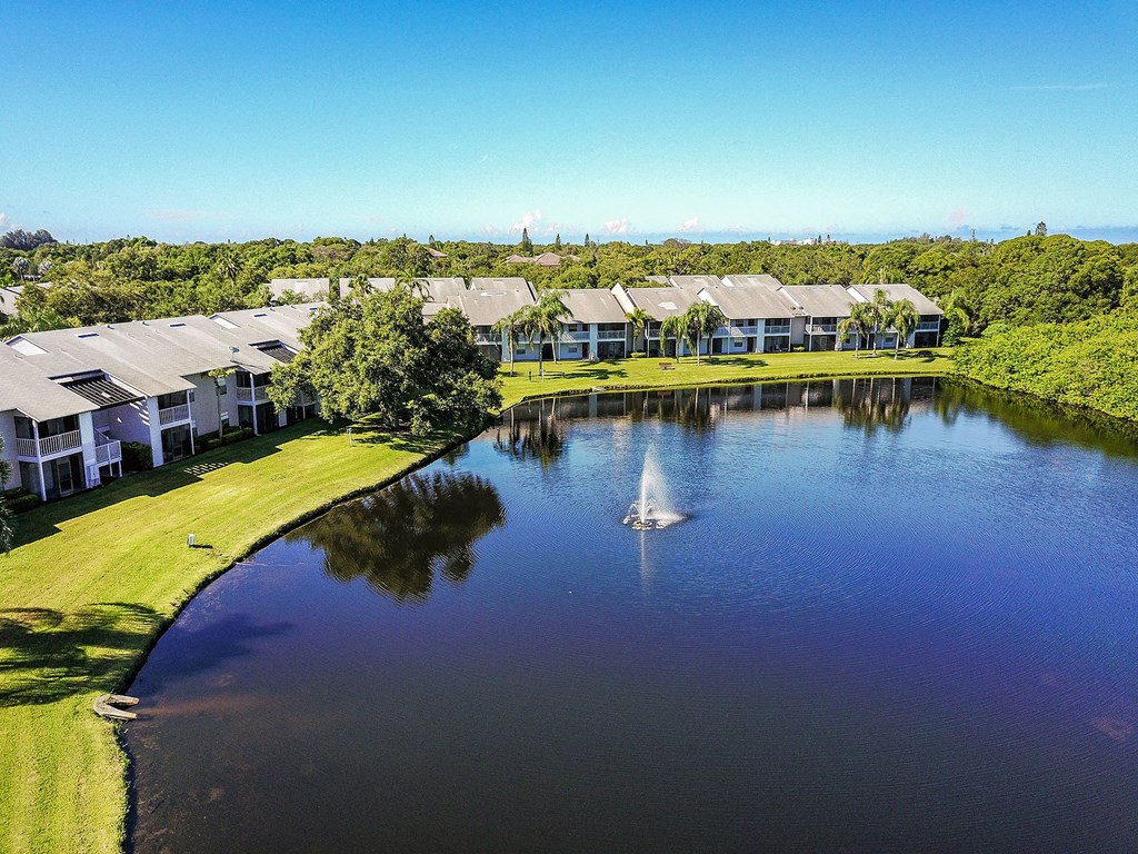 Timber Chase At Sarasota Bay