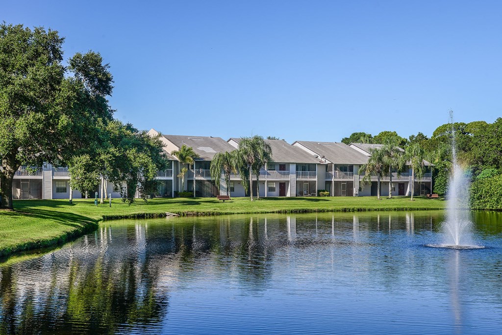 Timber Chase At Sarasota Bay