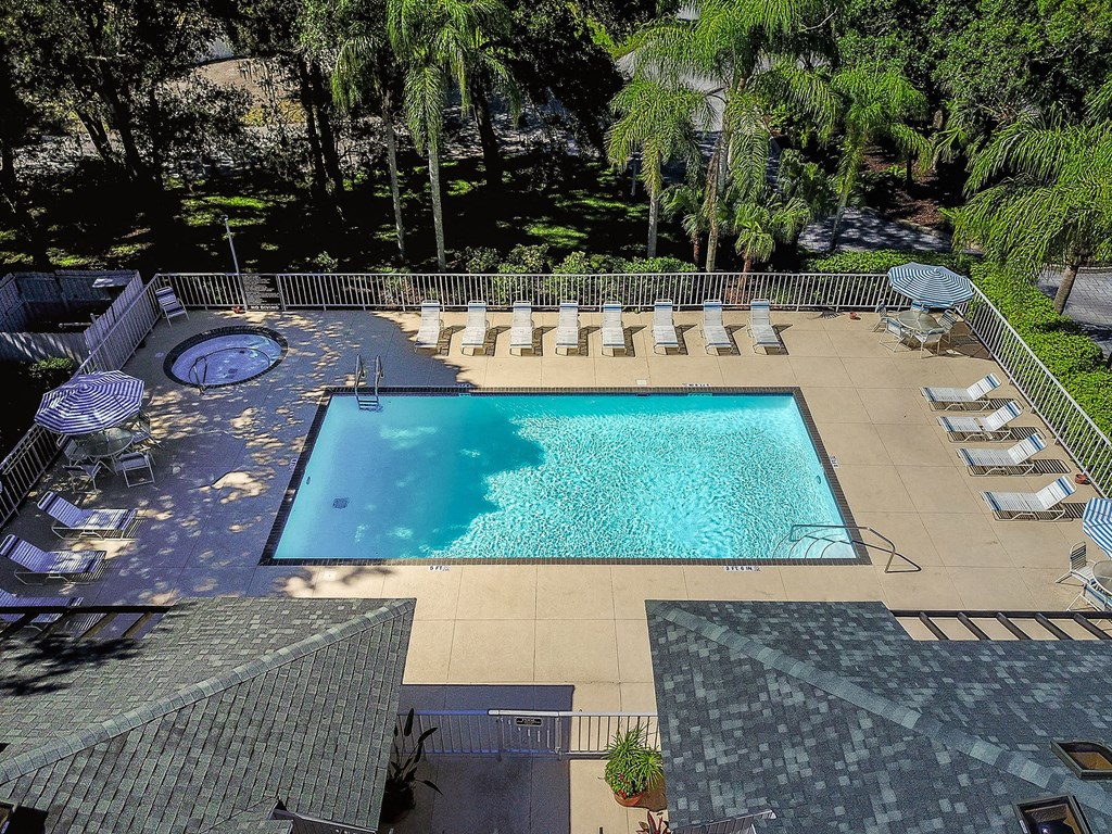 Timber Chase At Sarasota Bay