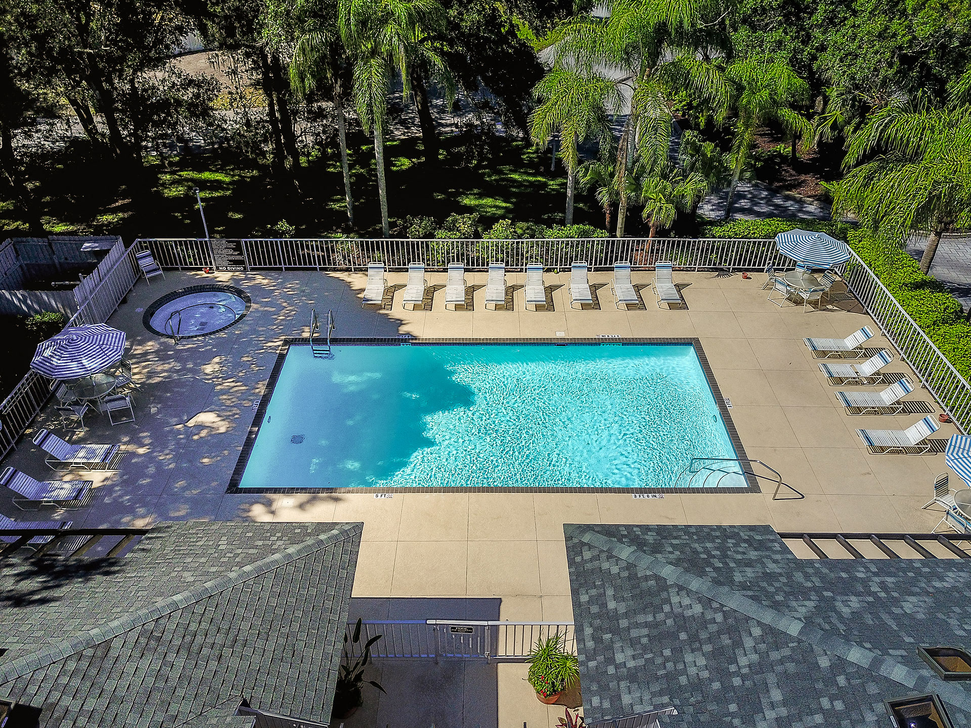 Timber Chase at Sarasota Bay Pool Aerial