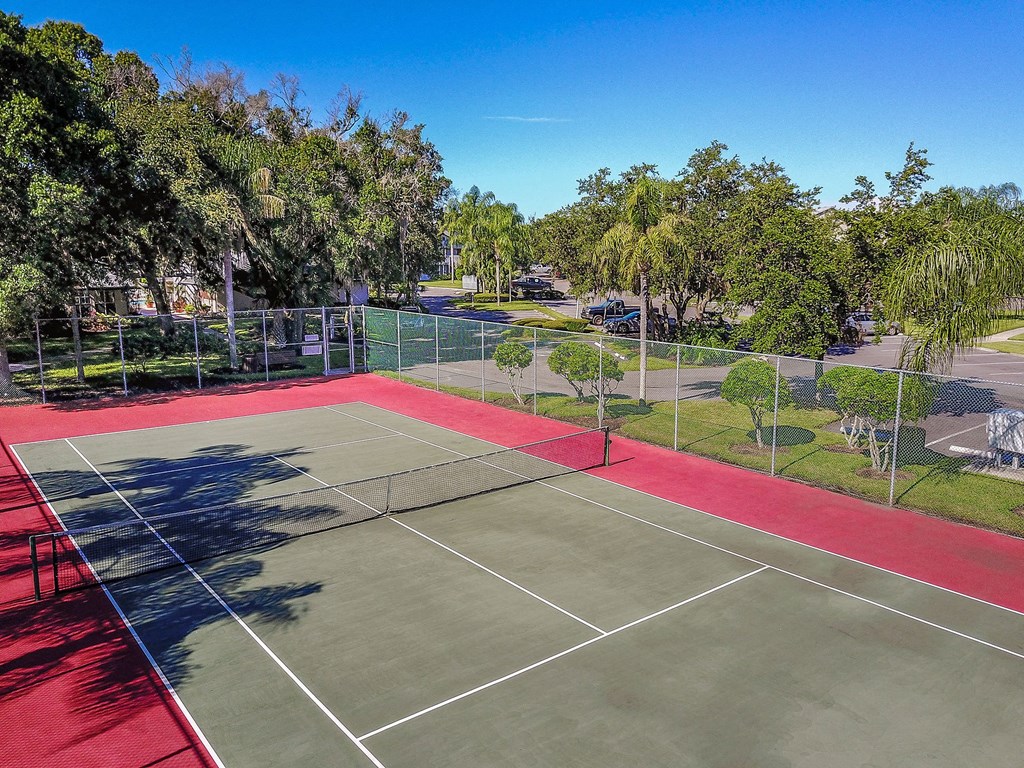 Timber Chase At Sarasota Bay