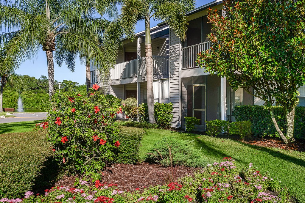 Timber Chase At Sarasota Bay