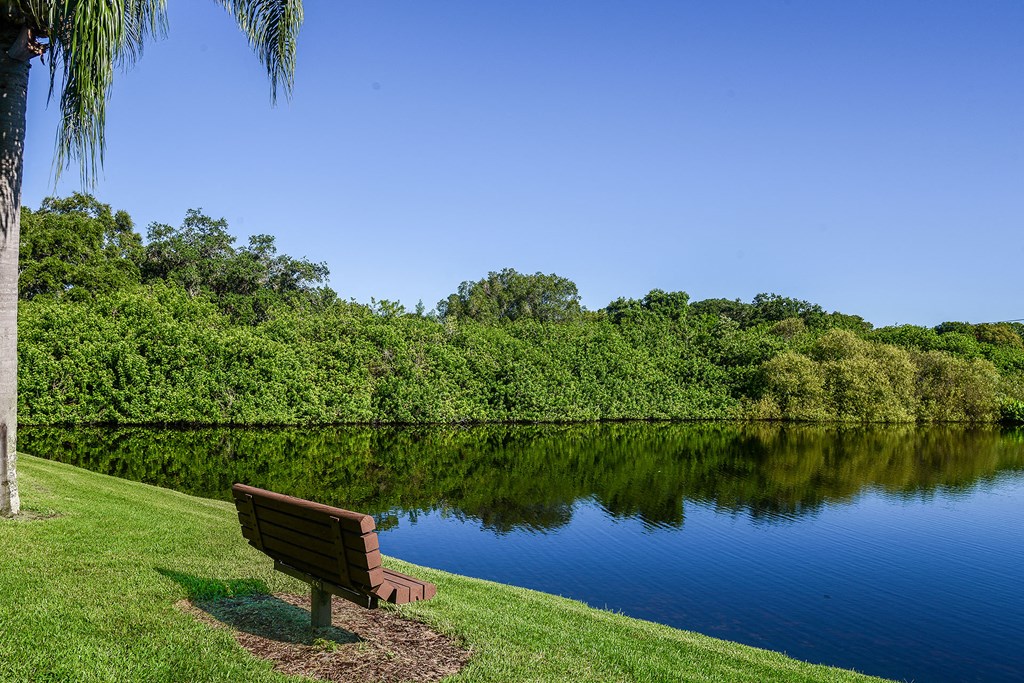 Timber Chase At Sarasota Bay