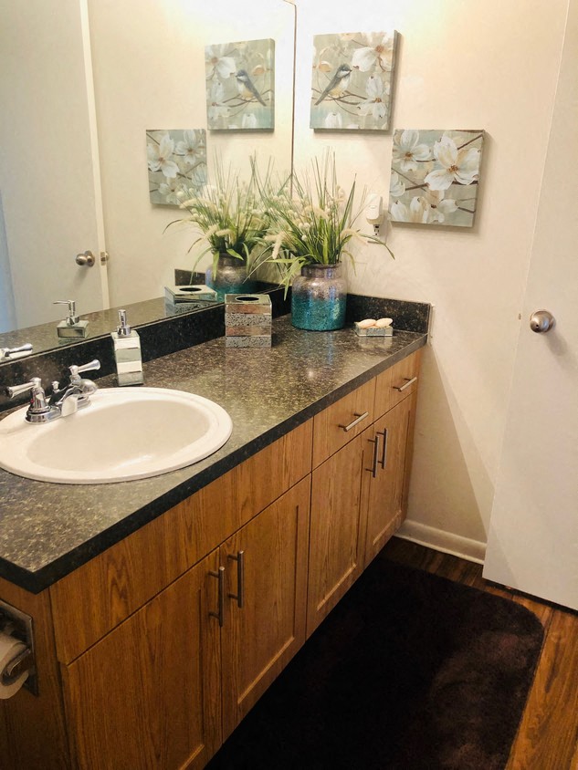 brookside manor apartments brandon fl renovated bathroom