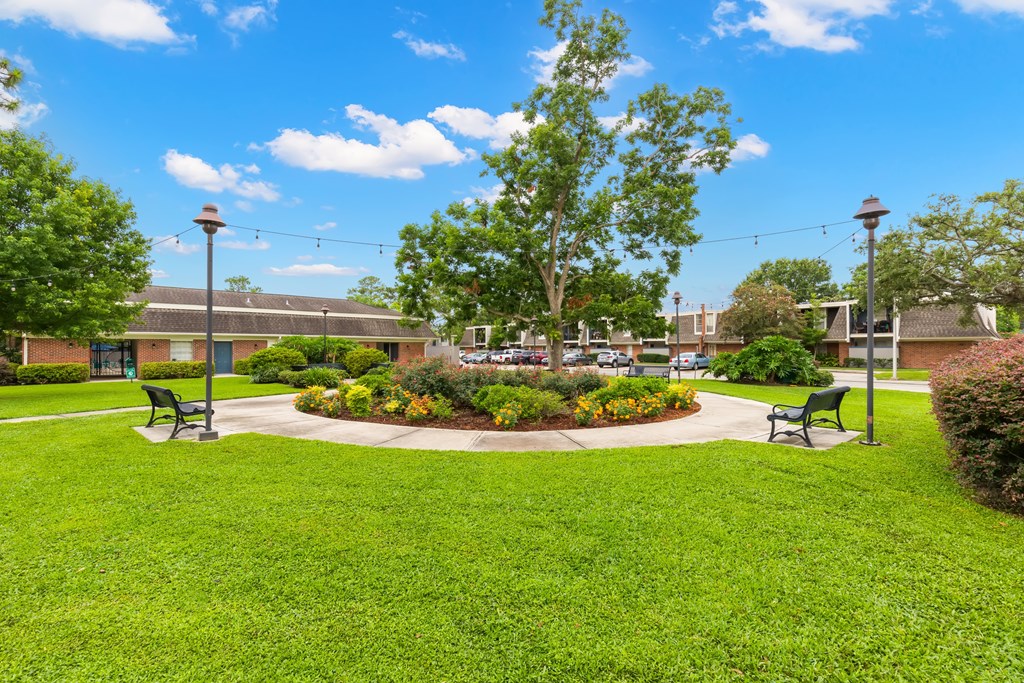 A park with a grassy area, a bench, and a tree.
