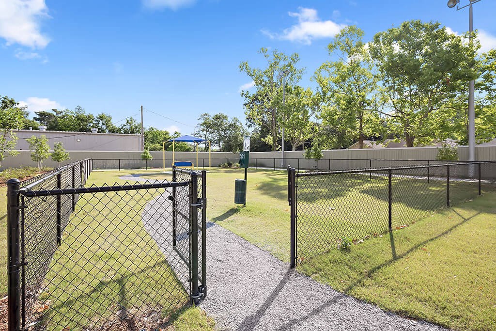 Dog park