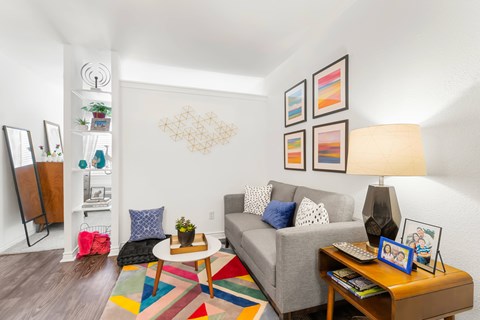 A living room with a grey couch, a coffee table, a lamp, and a bookshelf.