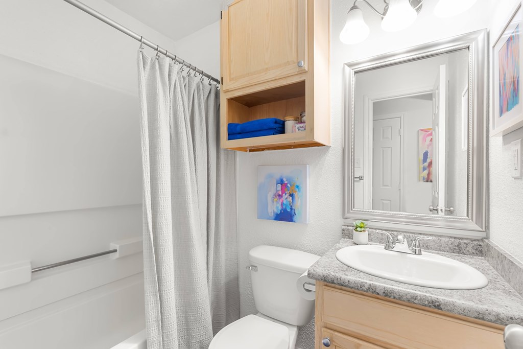 A bathroom with a toilet, sink, and a mirror.